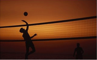 volleyball.gif